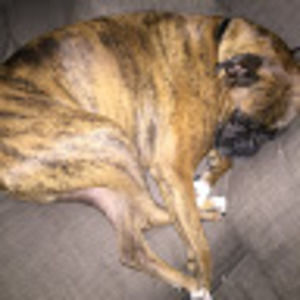 Meet your Posher, Channing